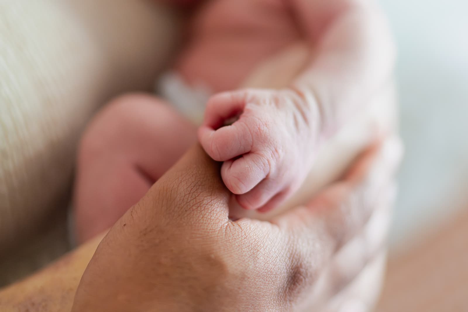 Family portrait, golden hour